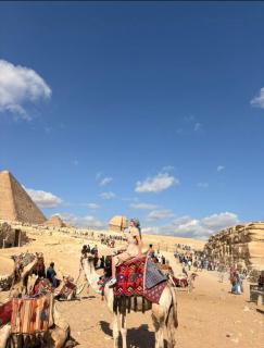 Bastet Pyramids inn - 3