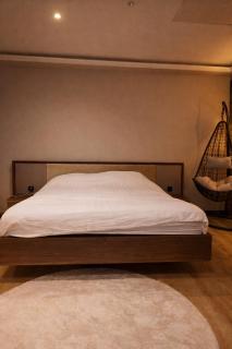 Tomorrowland Luxury Apartment - 5