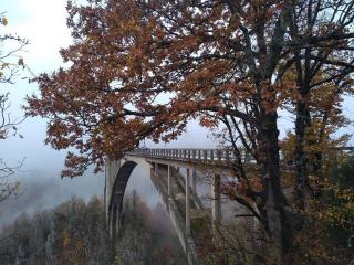 Family owned self sufficient ECO farm TARA - 6