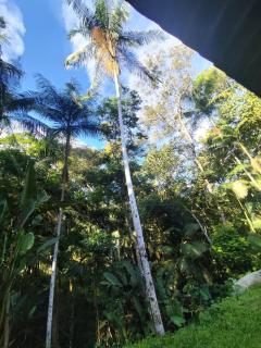 Chácara da Vó na Natureza - 6