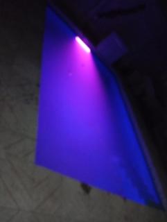 Complejo la Raquel - 5