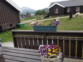 Bessheim Fjellstue og Hytter - 4