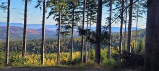 Apartamenty Leśniczówka Salamandra - 6