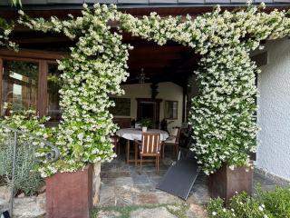 Charming villa with a private pool - 4