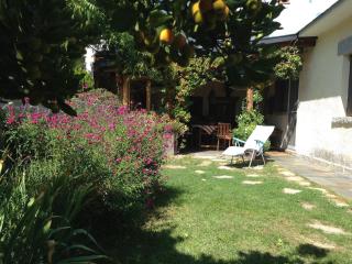 Charming villa with a private pool - 3