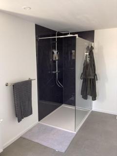 Platzhirsch-bei-der-Purpurbuche - 4