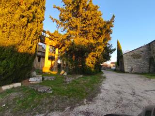 Maison d'hôte Mas de Castille entre Uzès et le pont du Gard - 2