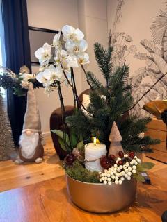 Les Libellules Appartement avec baignoire spa à Lanvallay - 8