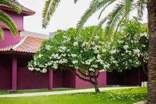 Caribe Deluxe Princess - All Inclusive - 7