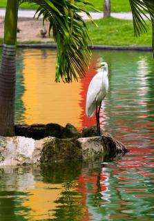 Caribe Deluxe Princess - All Inclusive - 5