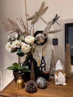 Les Libellules Appartement avec baignoire spa à Lanvallay - 7