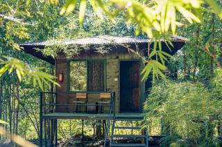 Pench Wilderness Camp Resort - 9