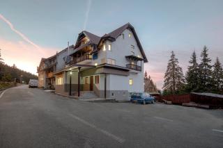 Vila Frații Jderi Straja - 0