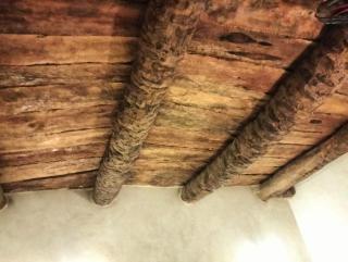 Camp New Cleopatra - كامب نيو كليوباترا - 1