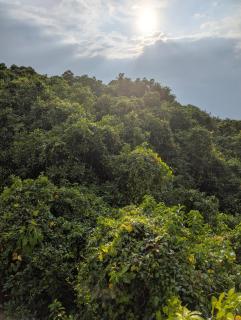 San Heritage Villa, Kochi - 4