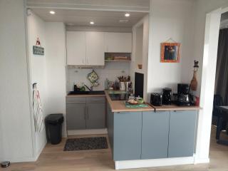Bel appartement spacieux front de mer - 1