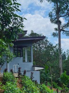 Rainforest cabin - 7