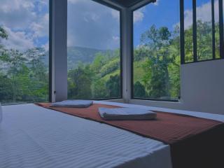 Rainforest cabin - 8