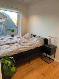 3 værelses lejlighed - 6