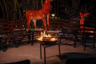 Pench Wilderness Camp Resort - 1