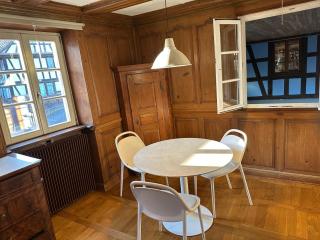 Le Mundhome - Grand studio tout équipé - Strasbourg Eurométropole - 7