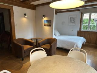 Le Mundhome - Grand studio tout équipé - Strasbourg Eurométropole - 4