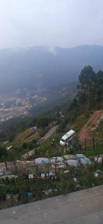 Willow Nest Cottages - 9