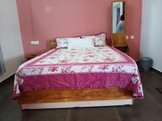 Willow Nest Cottages - 4