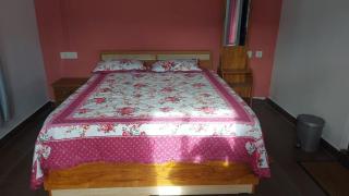 Willow Nest Cottages - 3