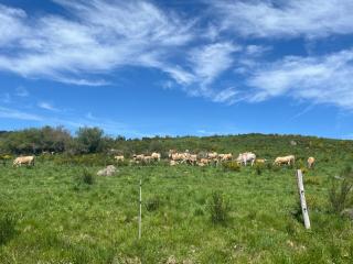 l'Ancienne Gendarmerie - 3