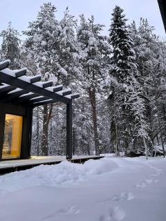 Arctic Modern Villa in Rovaniemi with Jacuzzi - 7