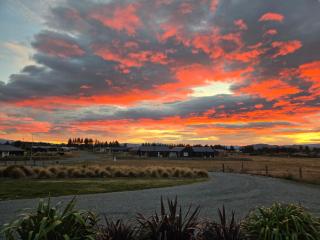 The Tussock Nest - 5