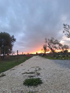 2 CUORI E 1 YURTA Glamping in Tuscany - Adults Only - 9