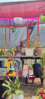 WoodPacker Hostel Pondicherry - 2