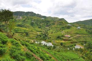 New Vagamon Holidays - 3