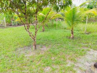 Casa de praia no Campinho, Maraú Bahia - 7