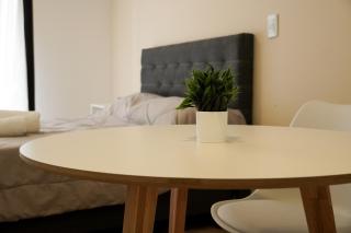 Loft Rio - Ideal turismo - A estrenar! - 8