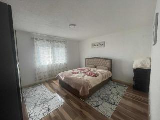 Zanesovici Jezero - 2