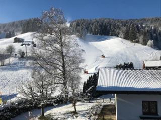 GondelApart Ski in Ski out - 3