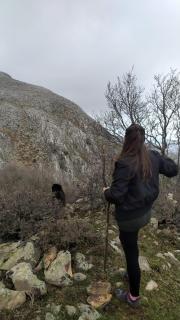 Room in Casa Castiglia a Woodhouse with Beautiful View close Madonie Park - 8