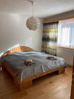 Ferienwohnung Haus Ginseng - Davos - 1