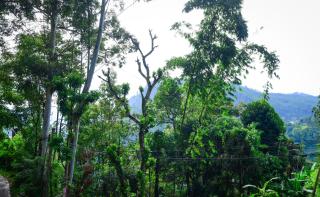 ONE MORE DAY Ella - 2