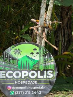 cabaña grande ecopolis hospedaje - 0