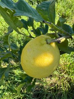 Preciosa casa rústica cerca de la playa - 8