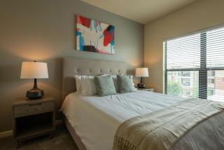 Landing Apartments - Bridge at Southpark Meadows - 9