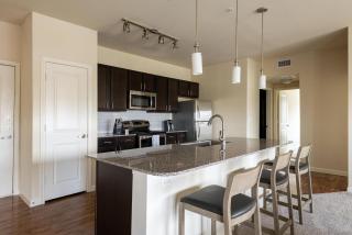 Landing Apartments - Bridge at Southpark Meadows - 3