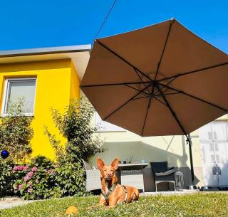 Ferienhaus Sausalblick - 4