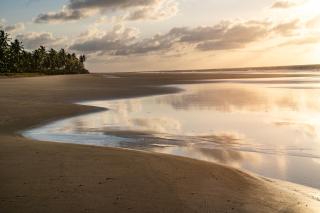 Primitivo Hotel & Villas - 4