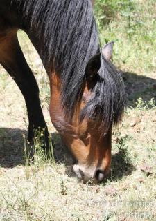 La Cristina casa de campo - 4