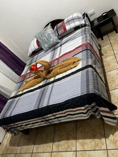 Apartamento el Bosque - 1